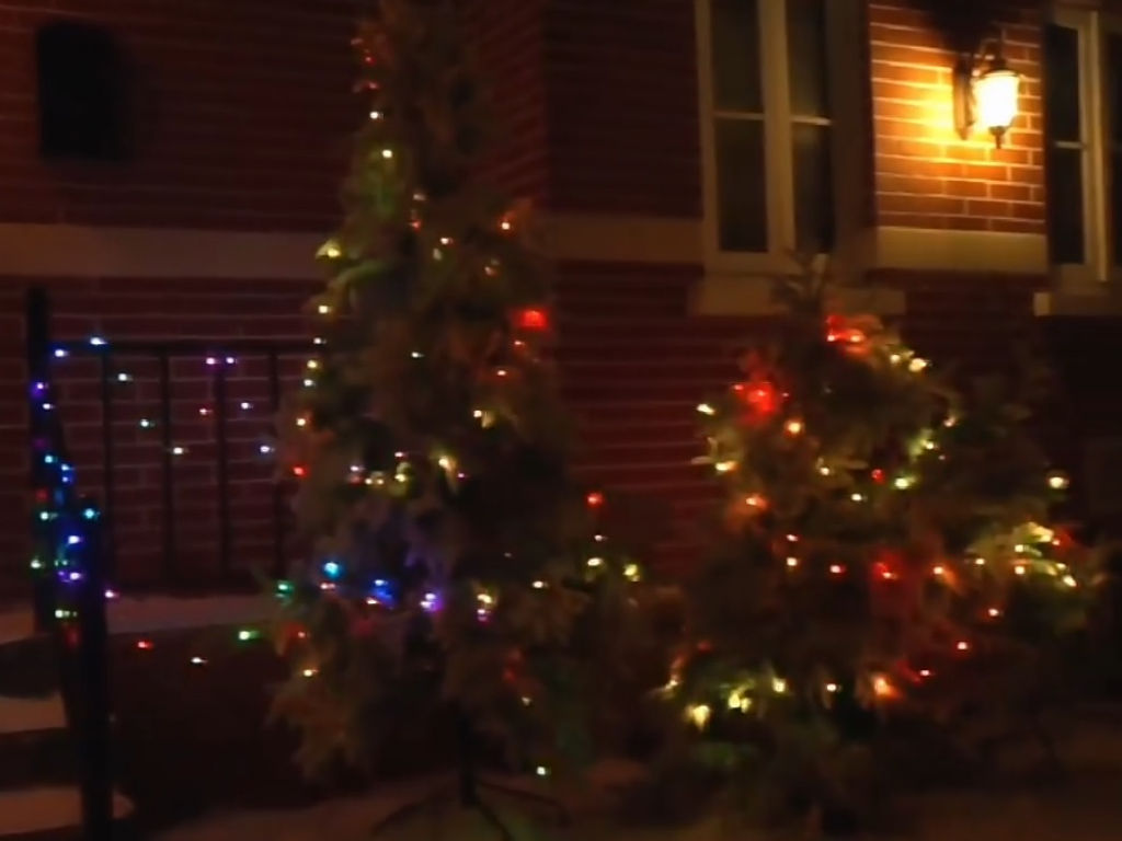 videos/video_0101.mp4