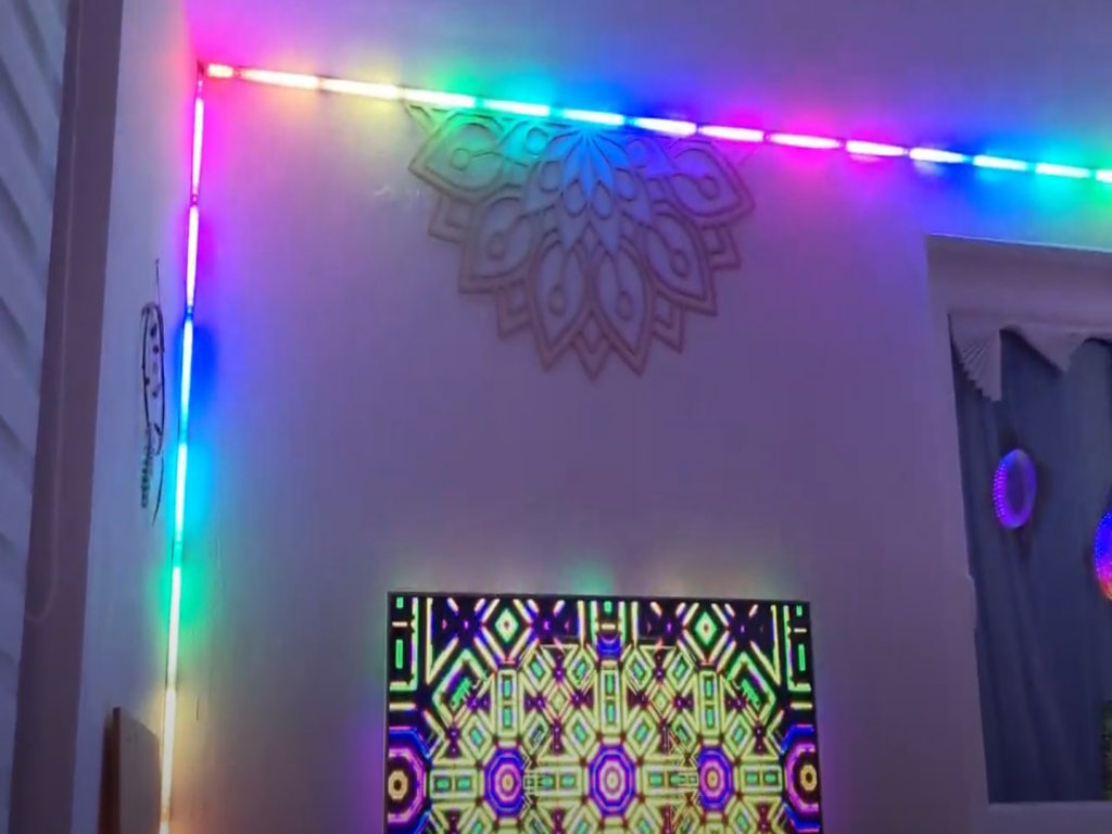 videos/video_0200.mp4